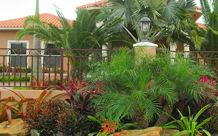 Landscaping in Orlando